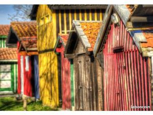 Particulier  cherche location pour janvier