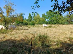 Achat Terrain BECELEUF 79160