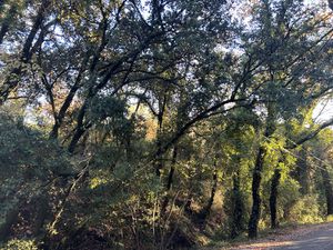 Achat Terrain 1 870m² BARGEMON 83830