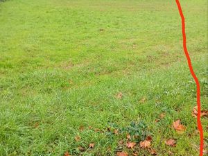 Terrain de 1800 mètre carré