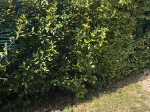 Terrain 360 m2 et 645 m2 centre ville