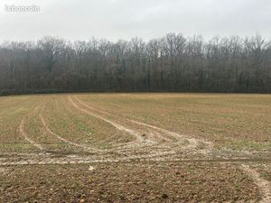 Terrain Constructible