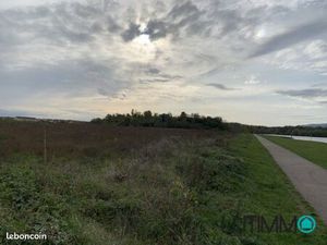 Terrain 480 m² Ensisheim