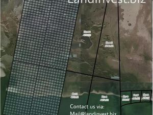 Achat : Terrain (34080)