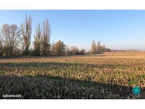 Terrain 477 m² Battenheim