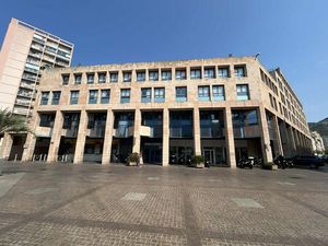 Location Local Professionnel 711m²