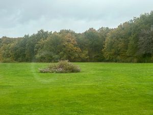 Propriété à vendre CHEVERNY 8 pièce(s) 320m2 1 266 000€