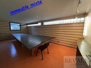 Vente immeuble 242 m² Plombières-lès-Dijon (21370)