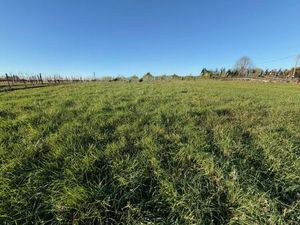 Vente terrain 560 m² Capian (33550)