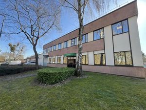 POUR LES AMATEURS DE VERDURE