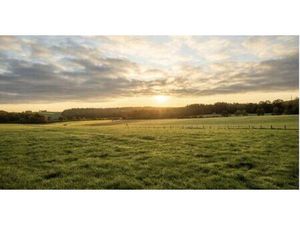 Vente terrain 850 m² Gujan-Mestras (33470)