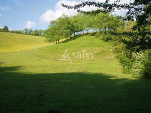 Proche d'Auch - Propriété équine de 5 ha