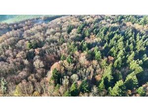 Vente Terrain à Mellac (29300) : à vendre / 12280m² Mellac