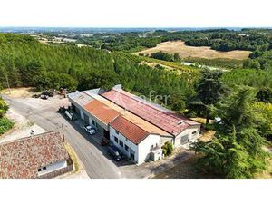 Exploitation de Pruneau d'Agen avec atelier transformation prêt