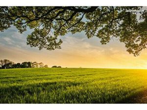 Terrain agricole 500m2