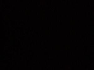 Cherche terrain jardin loisir