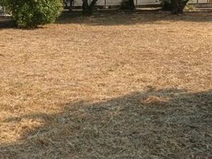 Terrain constructible viabilisé