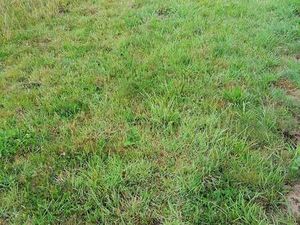 Vente Terrain à Andel (22400) : à vendre / Andel