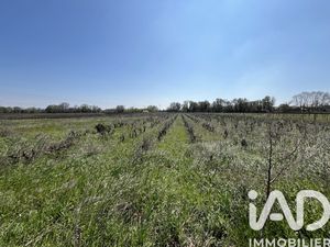Vente Terrain agricole 8 225 m²