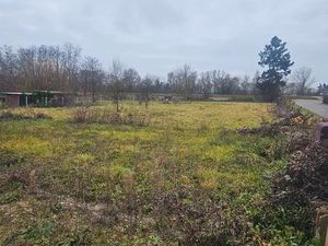 A vendre terrain 29 ares a horbourg wihr