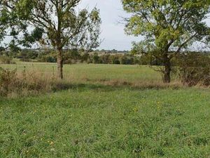 Vente Terrain à Mésanger (44522) : à vendre / Mésanger