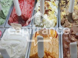 MINGUET Charles Capifrance