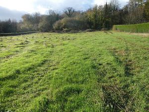 Terrain constructible viabilisé à vendre