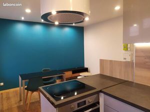 Bel appartement T2 de charme  lumineux et rénové en centre-ville