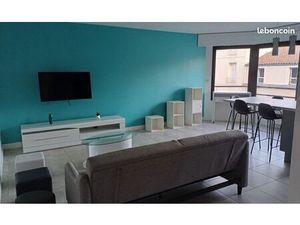 Grand appartement meublé T2 de 54 m²