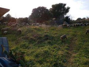 Location jardin potager