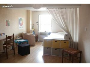 Toulouse janvier plein centre