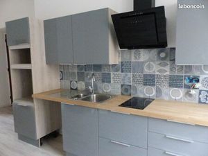 Centre d'oullins T1 rénové