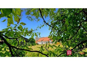 Maison avec dépendances + de 8000 m² de terrain 14 minutes de HESDIN LA FORET