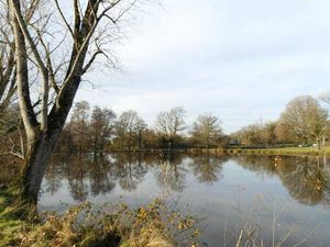 87250 BESSINES-SUR-GARTEMPE - Propriété de 1 hectares 1/2 avec étang.