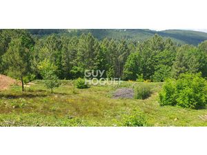 Vente terrain 1818 m² Mercuer (07200)