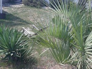 Vente maison 92m² Saint Martin la Plaine