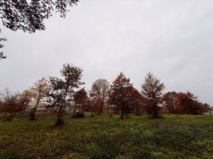 Vente terrain 2200 m² Eyraud-Crempse-Maurens (24140)