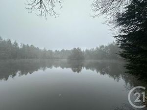 Terrain à vendre - 201380 m2 - La Ferte St Aubin - 45 - CENTRE