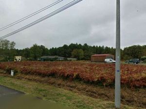 Vente terrain 307 m² Saucats (33650)