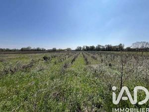 Vente Terrain à Codolet (30200) : à vendre / 8225m² Codolet