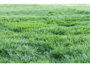 Vente Terrain à Cléder (29233) : à vendre / Cléder