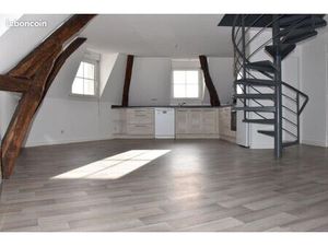 Angers hypercentre T3 Duplex lumineux 4ème étage avec ascenseur