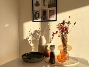 T3 - 5 semaines à louer en mars