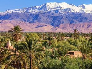 Projet Villa Marrakech