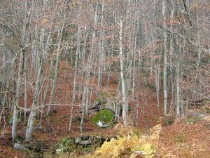 Terrains en montagne