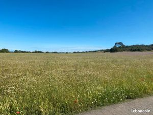 Terrain 684 m² Bessan