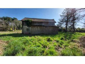 24130 Entre Bergerac et Mussidan Grange bois sur parcelles de 5900 m² environ