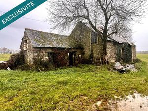 Ruine en pierre au calme  beau potentiel