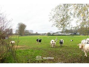 Mooi gelegen weiland  ± 41 are