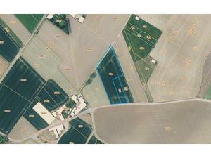 Landbouwgrond te koop in Onze-Lieve-Vrouw-Lombeek